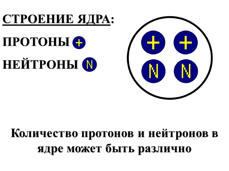 СТРОЕНИЕ ЯДРА: ПРОТОНЫ  НЕЙТРОНЫ    Количество протонов и нейтронов в ядре